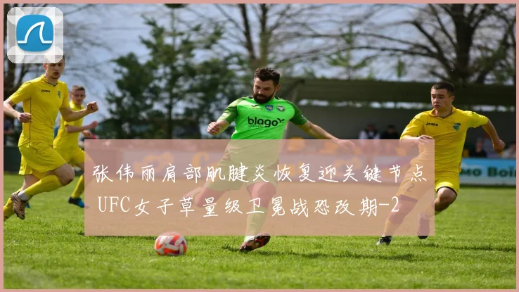 张伟丽肩部肌腱炎恢复迎关键节点 UFC女子草量级卫冕战恐改期
