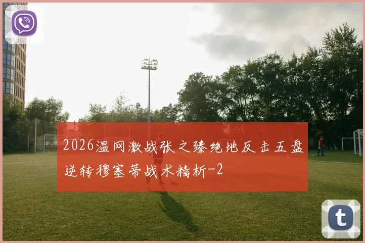 2026温网激战张之臻绝地反击五盘逆转穆塞蒂战术精析