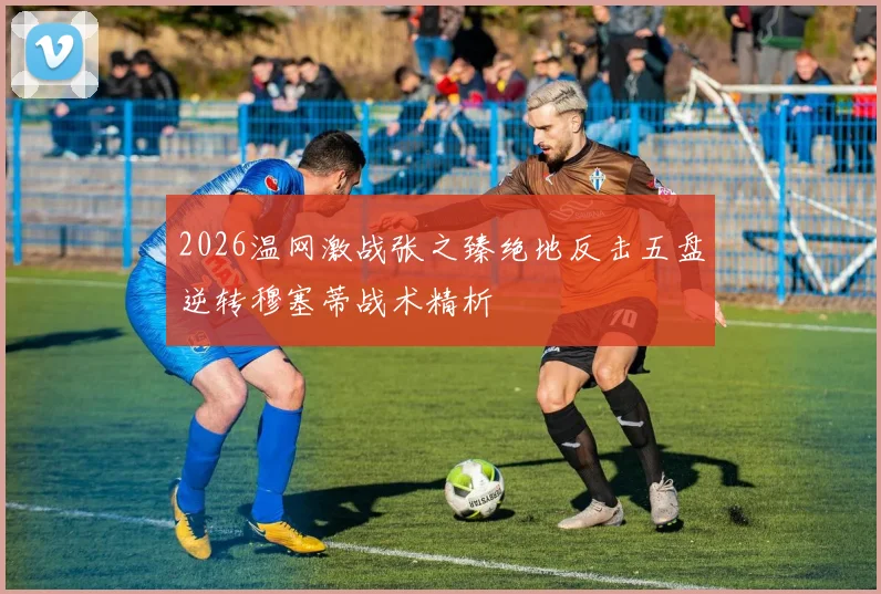2026温网激战张之臻绝地反击五盘逆转穆塞蒂战术精析