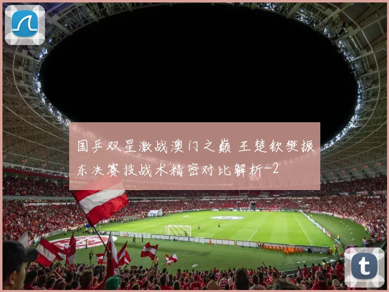 国乒双星激战澳门之巅 王楚钦樊振东决赛技战术精密对比解析