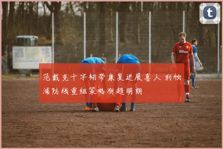 范戴克十字韧带康复进展喜人 利物浦防线重组策略渐趋明朗