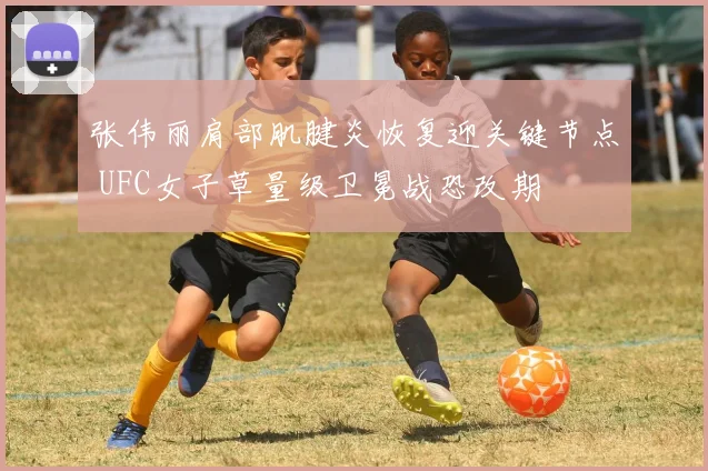 张伟丽肩部肌腱炎恢复迎关键节点 UFC女子草量级卫冕战恐改期